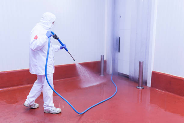 Best Pre-Holiday Cleaning  in Perryville, MD